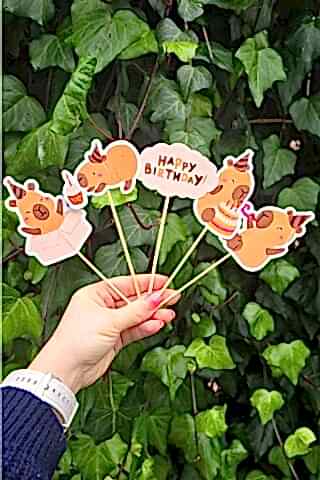 Kapibara Kürdan Süsleri Lüks Büyük Boy 10lu Paket