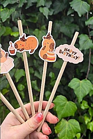 Kapibara Pipet Süsleri 10lu Capybara Konsept Lüks Pipet Paketi