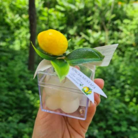 Limon Bahçesi Konsept Mika Kutuda Çiçek Süslemeli Bubble Mum Hediyelik