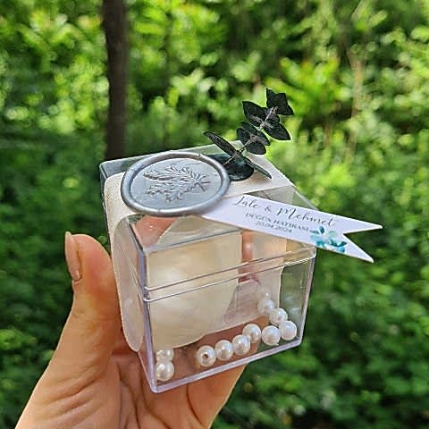 Retro Okaliptus Konsept Mika Kutuda Çiçek Süslemeli İstiridye Mum Hediyelik