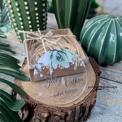 Okaliptus Cipso Konsept Şeffaf Pleksi Magnet