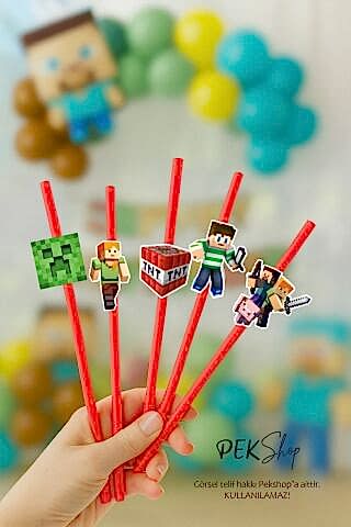 Minecraft Pipet Süsleri 10lu Minecraft Konsept Lüks Pipet Paketi