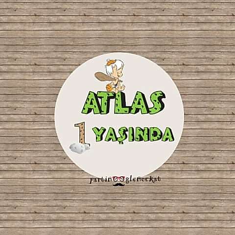 Taşdevri ''BamBam'' Konsept 35 Adet 5cm Etiket