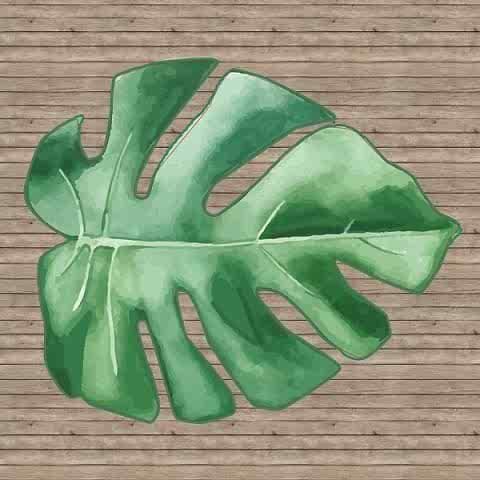 Wild Safari Konsept Amerikan Servis