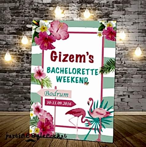 Flamingo Temalı Bekarlığa Veda Karşılama Panosu