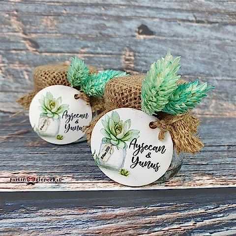 Saksıda Sukulent Konsept Kavanoz Hediyelik