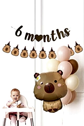 Kapibara Tema 6 Aylık Süsleri Seti 6 Months Banner ve Balon Seti