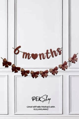 Pembe 6 Months ve Fiyonklar Banner Seti 6 Aylık Yarım Yaş Parti Süsleri Seti