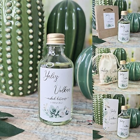 Sukulent Cipso Konsept Kolonya Hediyelik