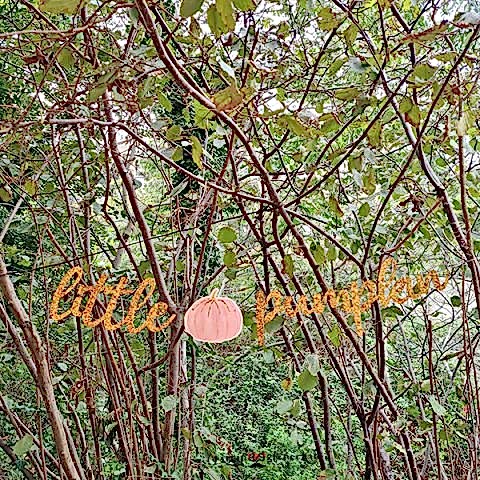 Little Pumpkin Konsept Banner