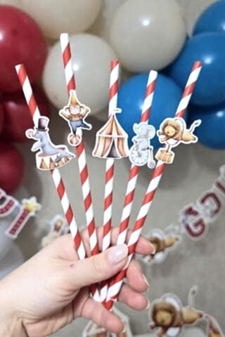 Sirk Tema Pipet Süsleri 10lu Sirk Konsept Lüks Pipet Paketi