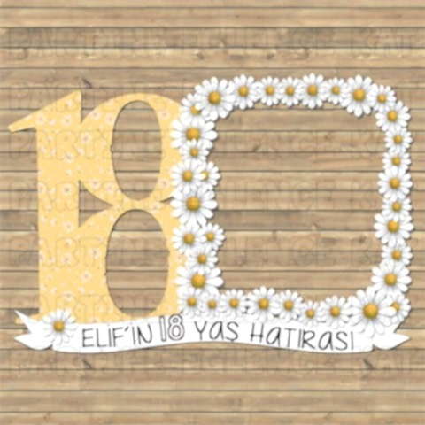 Papatya Konsept 18 Yaş Doğum Günü Hatıra Fotoğraf Çerçevesi
