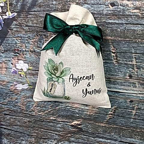 Saksıda Sukulent Konsept Lavanta Kesesi