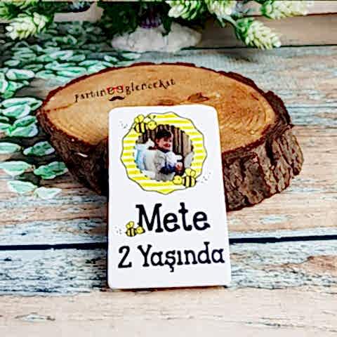 Arı Konsept Fotoğraf Baskılı Doğal Taş Magnet